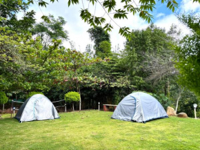 Siya Homestay